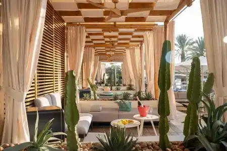 Dan Eilat - 20