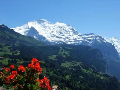 Bellevue-Wengen - Best view in town! - 33