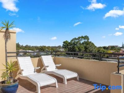 Tasman Holiday Parks - Torquay Palms - 34