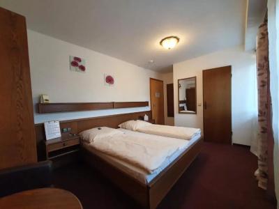 Pension Haus Diefenbach - 24
