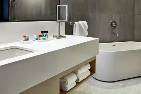 The Statler Dallas, Curio Collection By Hilton - 9