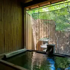 Shingen-No-Yu Yumura Onsen Tokiwa - 18