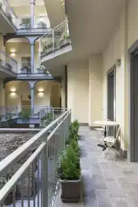 Agave in Città - 142