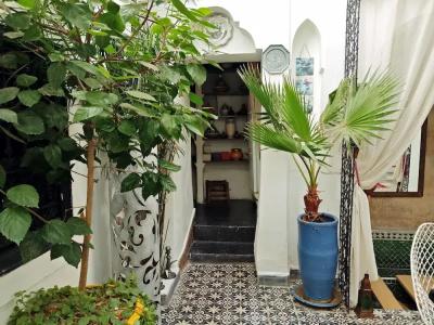 Riad Djebel - 21