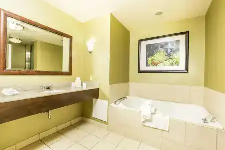 Hilton Garden Inn - 68