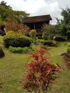 Phanom Bencha Mountain Resort - 12