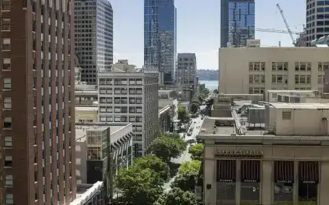 The Paramount - 45