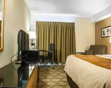 Comfort Inn - 5