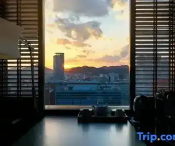Oriental - 100