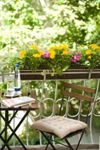 Boutique Splendid-Dollmann - 32