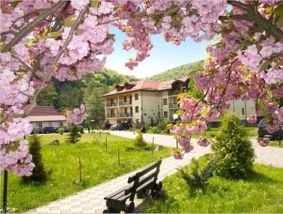 Bogolvar Retreat Resort - 23