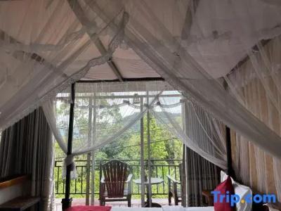 The Ella Nature Life Guest Inn - 39