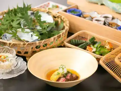 Arima Onsen Taketoritei Maruyama - 11
