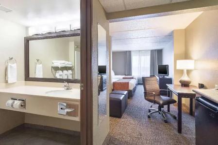 Comfort Suites Austin Airport - 38