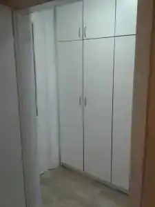 Kamelija - 24