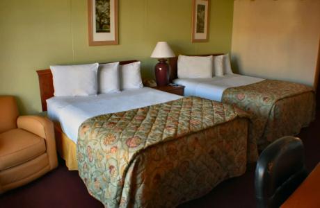 Baldknobbers Motor Inn - 5