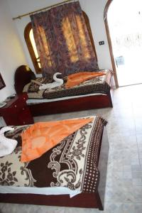 Yasmina - 3