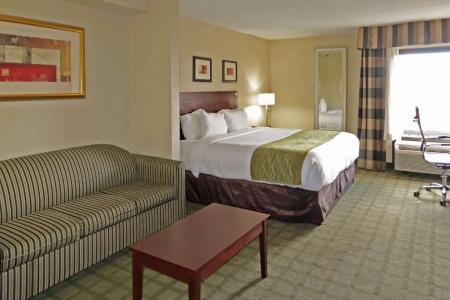 Comfort Inn & Suites Southwest Freeway at Westpark - 47