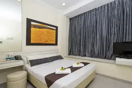81 Elegance - SG Clean - 30