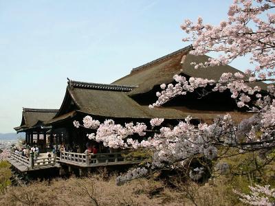 Sotetsu Fresa Inn Kyoto-Shijokarasuma - 19
