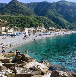 Scilla - 13