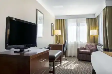 Comfort Inn & Suites - 80