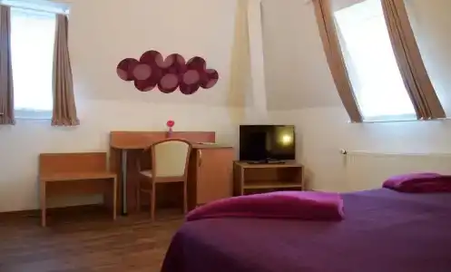 Vier Löwen - 25