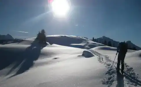 Pension Steiermark - 9
