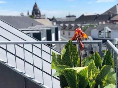 Hilton Mainz City - 31