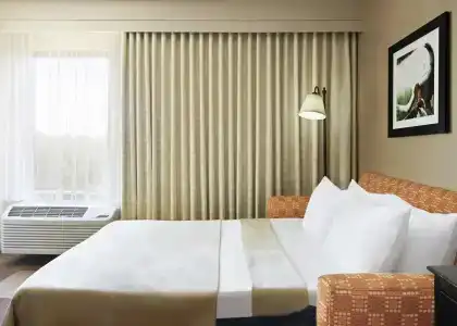 Hampton Inn Dallas-Irving-Las Colinas - 57