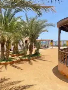 Shams & Dive Centre - 27
