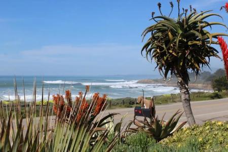 Cambria Shores Inn - 8
