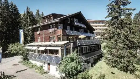 Arlenwald - 28