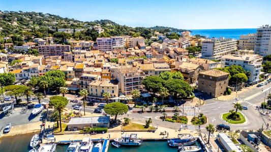 Les Palmiers - 18