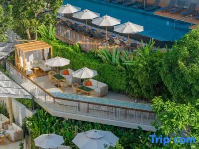 Patong Phuket - 38