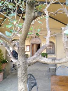 Albergo Giovanni Da Verrazzano - 16
