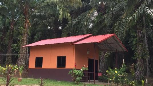 Khao Sok Evergreen House - 61