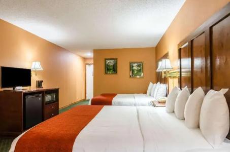 Quality Inn South - 67