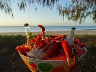 Tasman Holiday Parks - Torquay Palms - 9