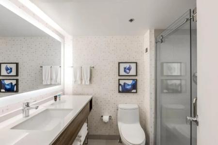 Crowne Plaza Arlington, An Ihg - 38