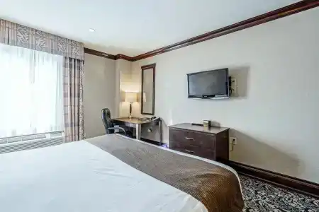 Woodbine & Suites - 10