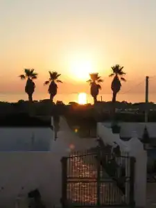 Masseria Donnaloia - 56