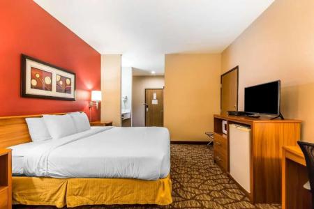 Quality Inn & Suites Chesterfield Village - 17