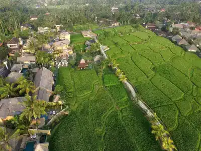 Wapa di Ume Ubud - 30