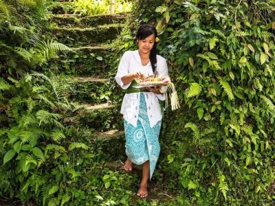 Bambu Indah - 11