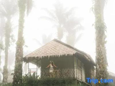 Khaosok Boutique Hideaway - 86