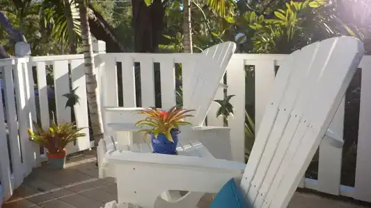 Coconut Palm Inn - 47