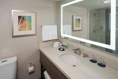 Sheraton Dallas by the Galleria - 59