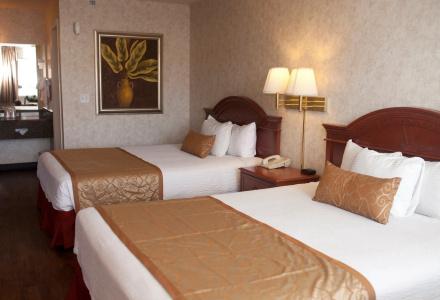 St. George Inn and Suites - 4