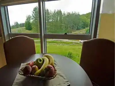 Sport In - 7